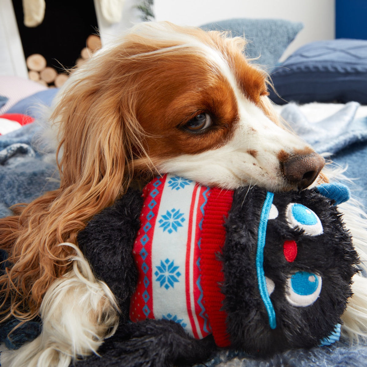 Sweaty Yeti Dog Toy – BARK