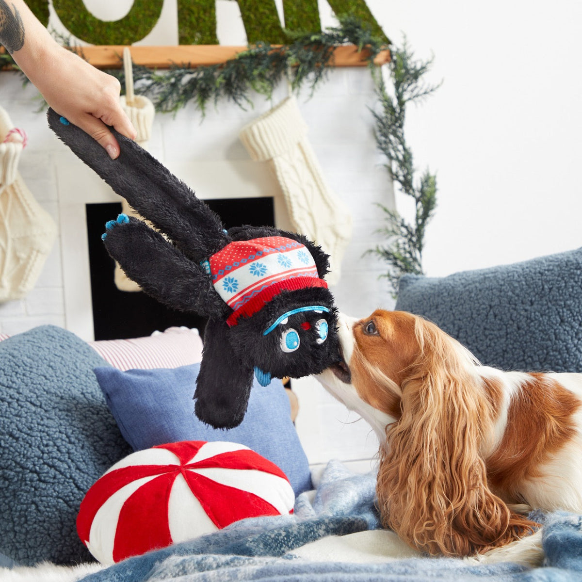 Sweaty Yeti Dog Toy – BARK