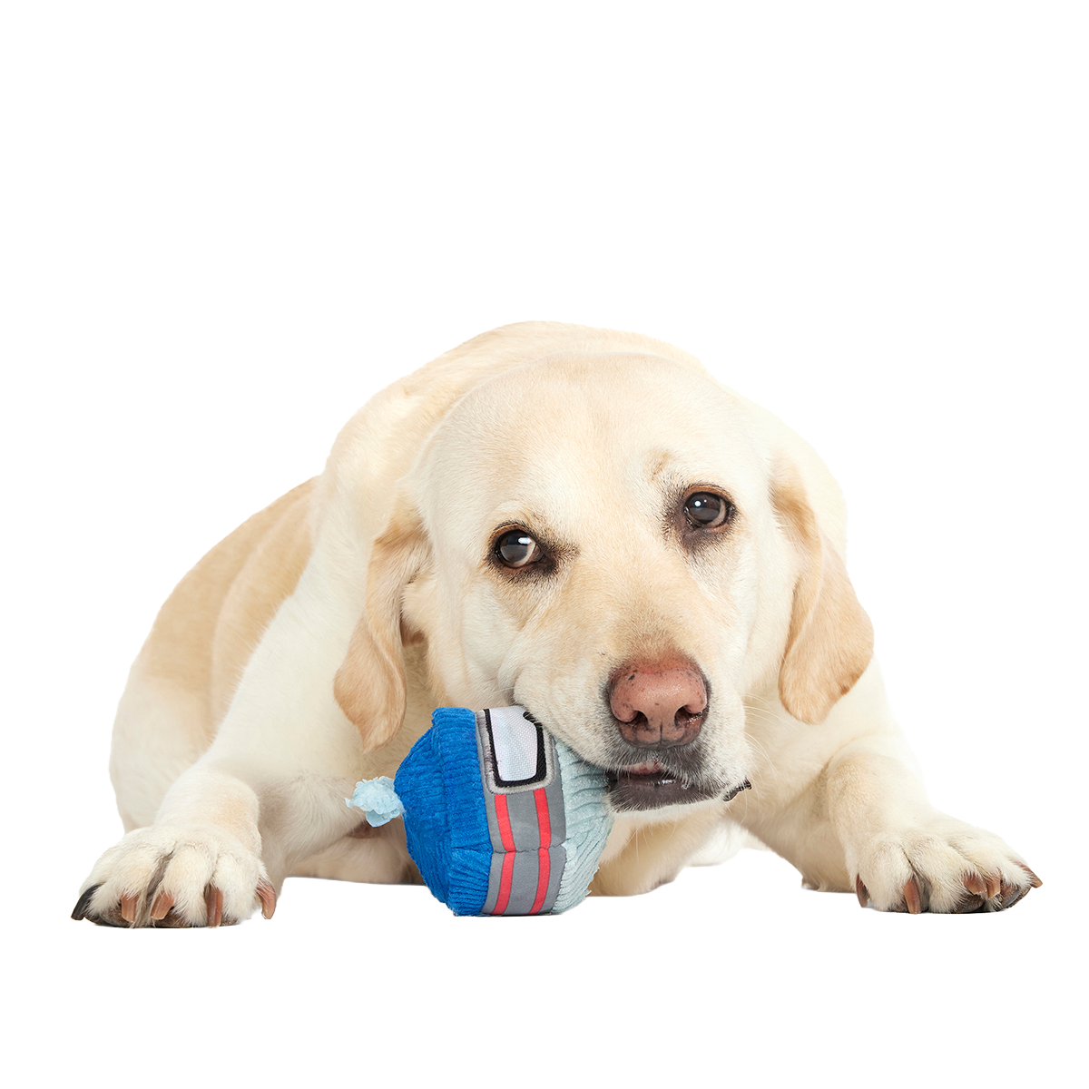 Gnar Ball Super Chewer Durable 2-in-1 + Fetch Dog Toy