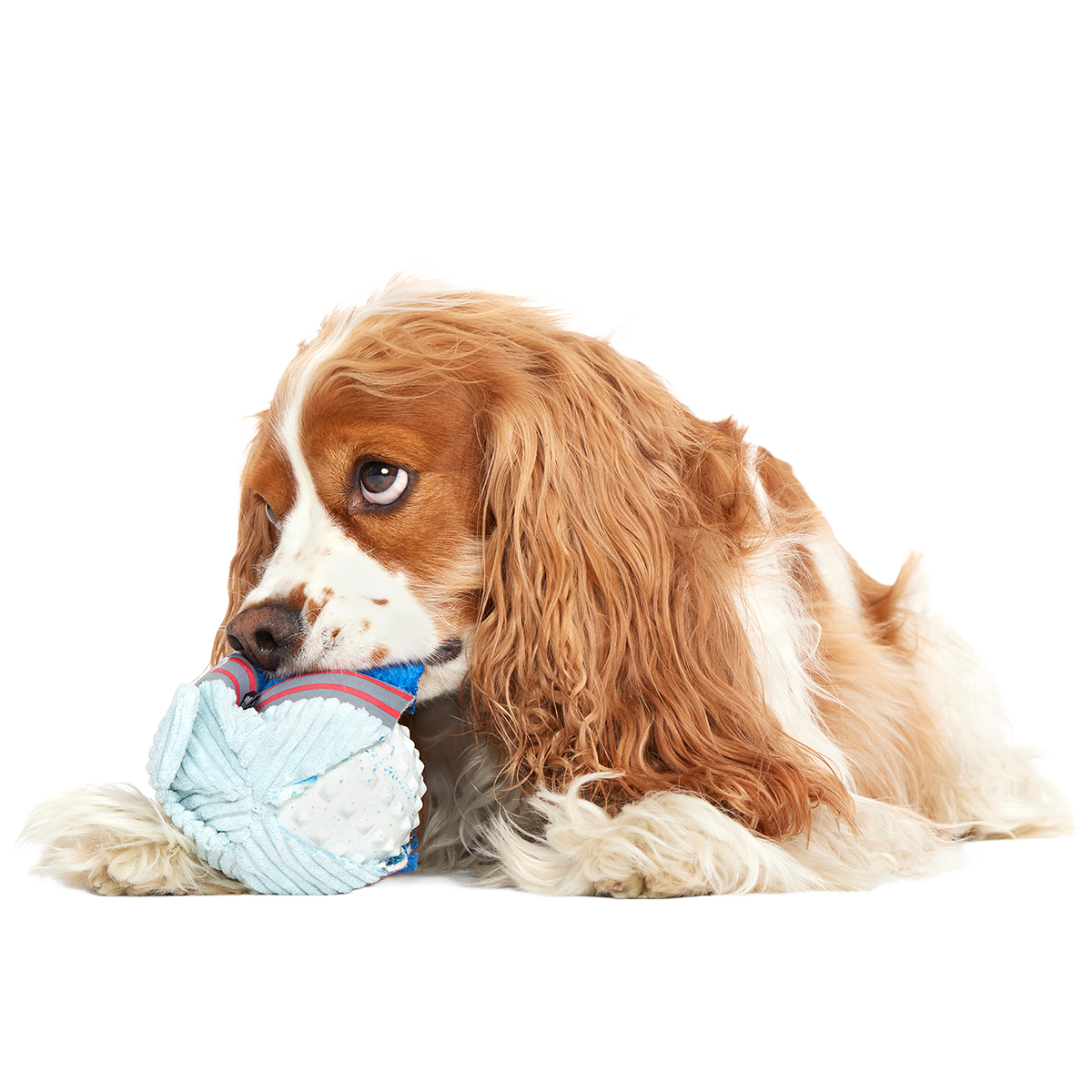 Gnar Ball Super Chewer Durable 2-in-1 + Fetch Dog Toy