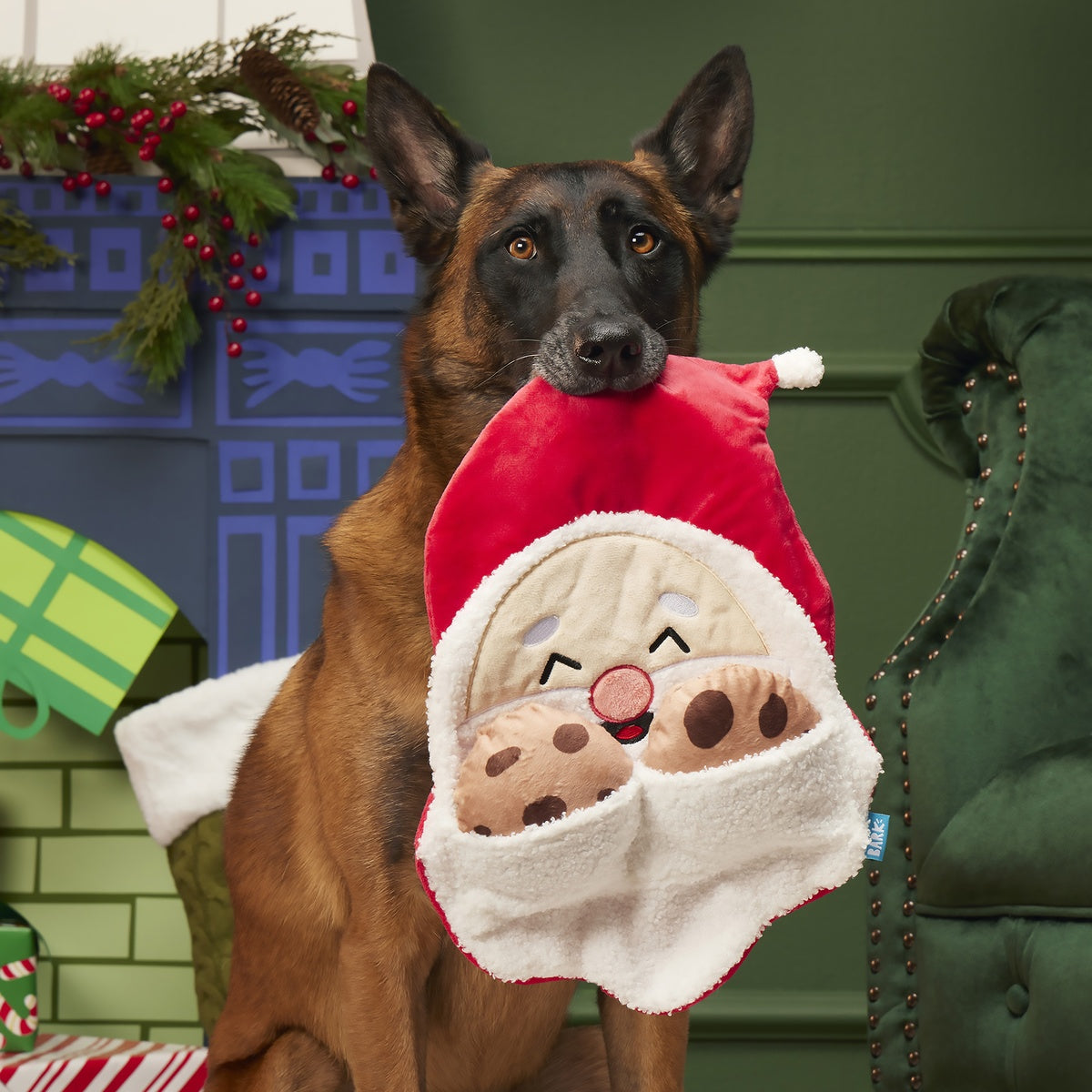Kris Krumble Holiday Dog Toy – BARK
