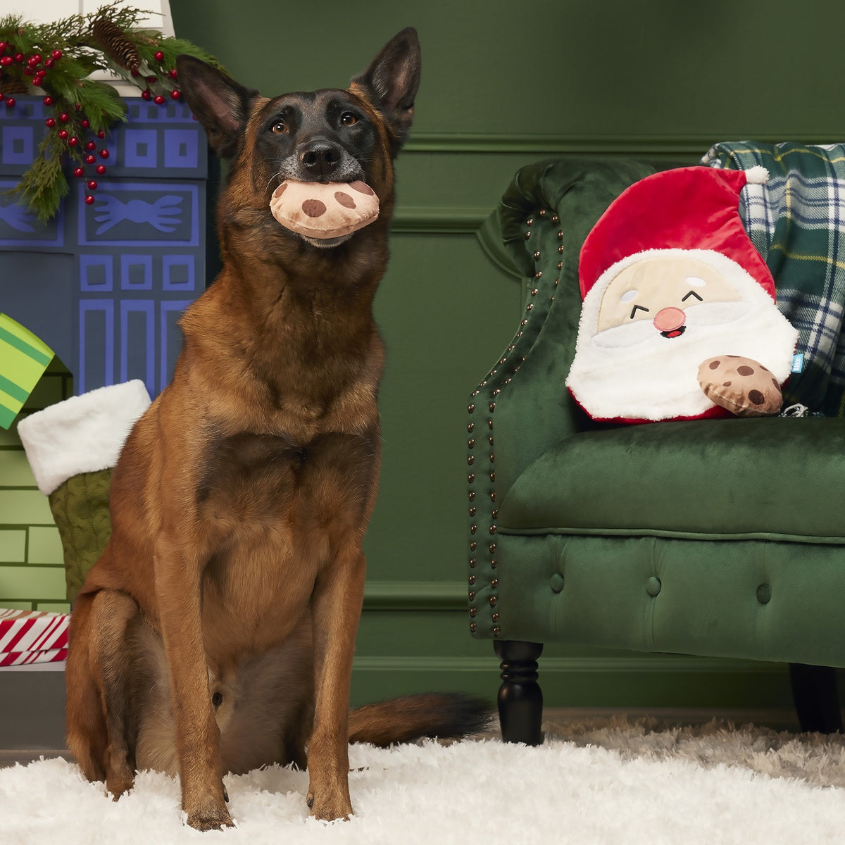 Kris Krumble Holiday Dog Toy – BARK