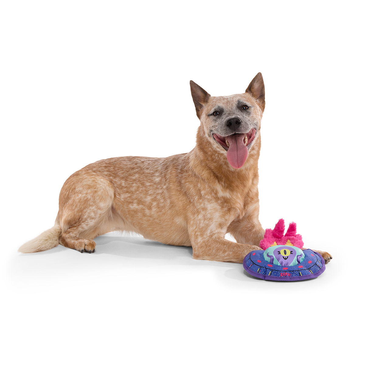 Blast Arf! Plush Tug Dog Toy