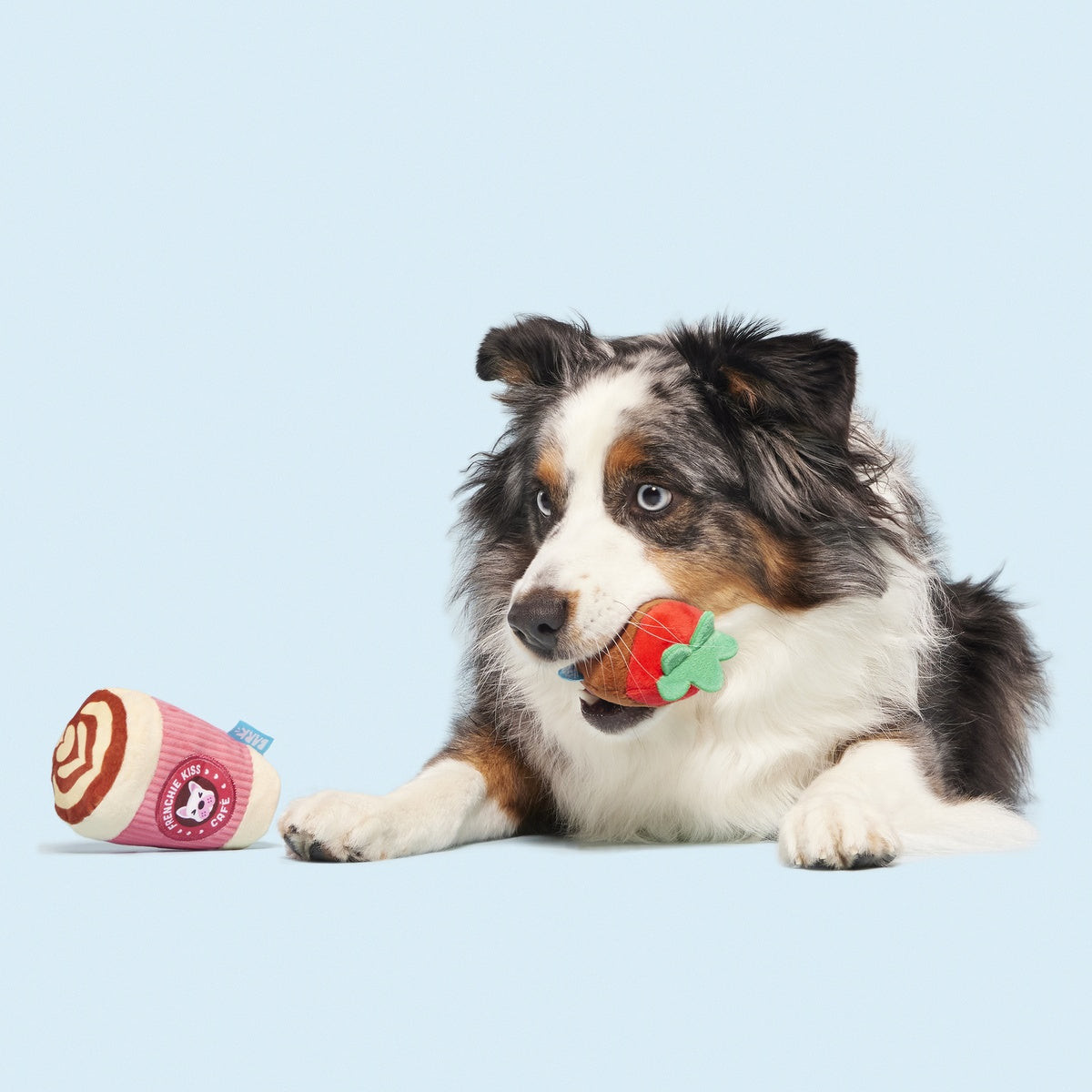 French Kiss Coffee Kit Plush Multi-Part Dog Toy