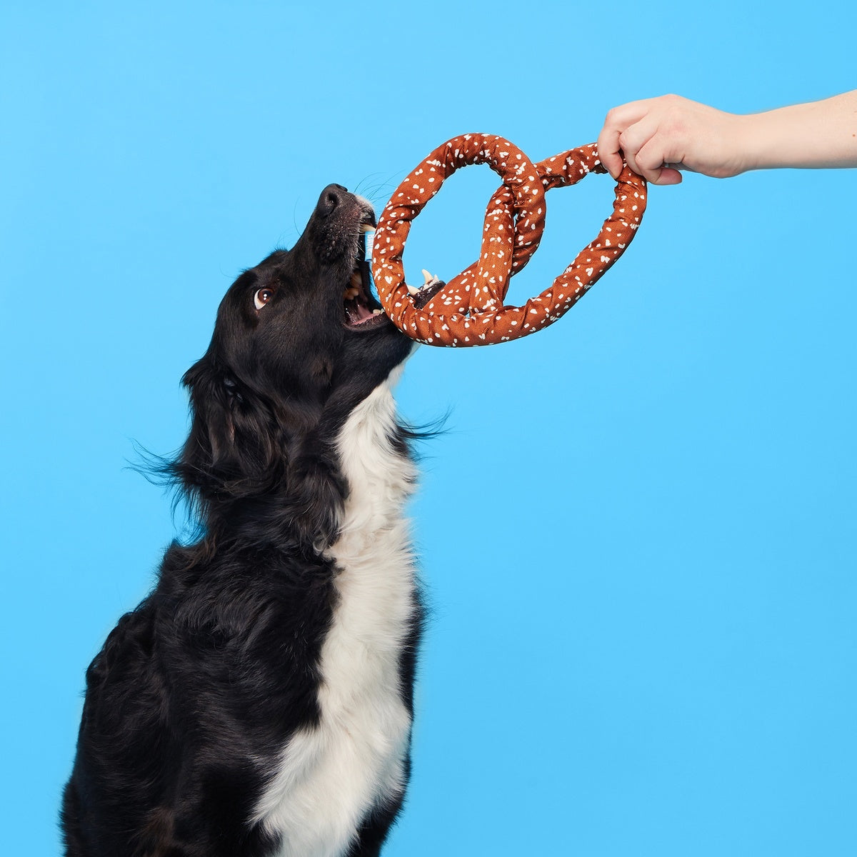 Pepper's Pretzel Plush Tug Dog Toy