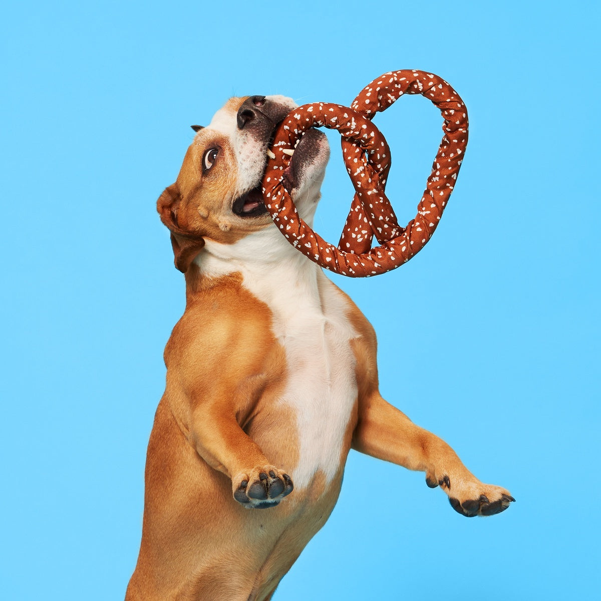 Pepper's Pretzel Plush Tug Dog Toy