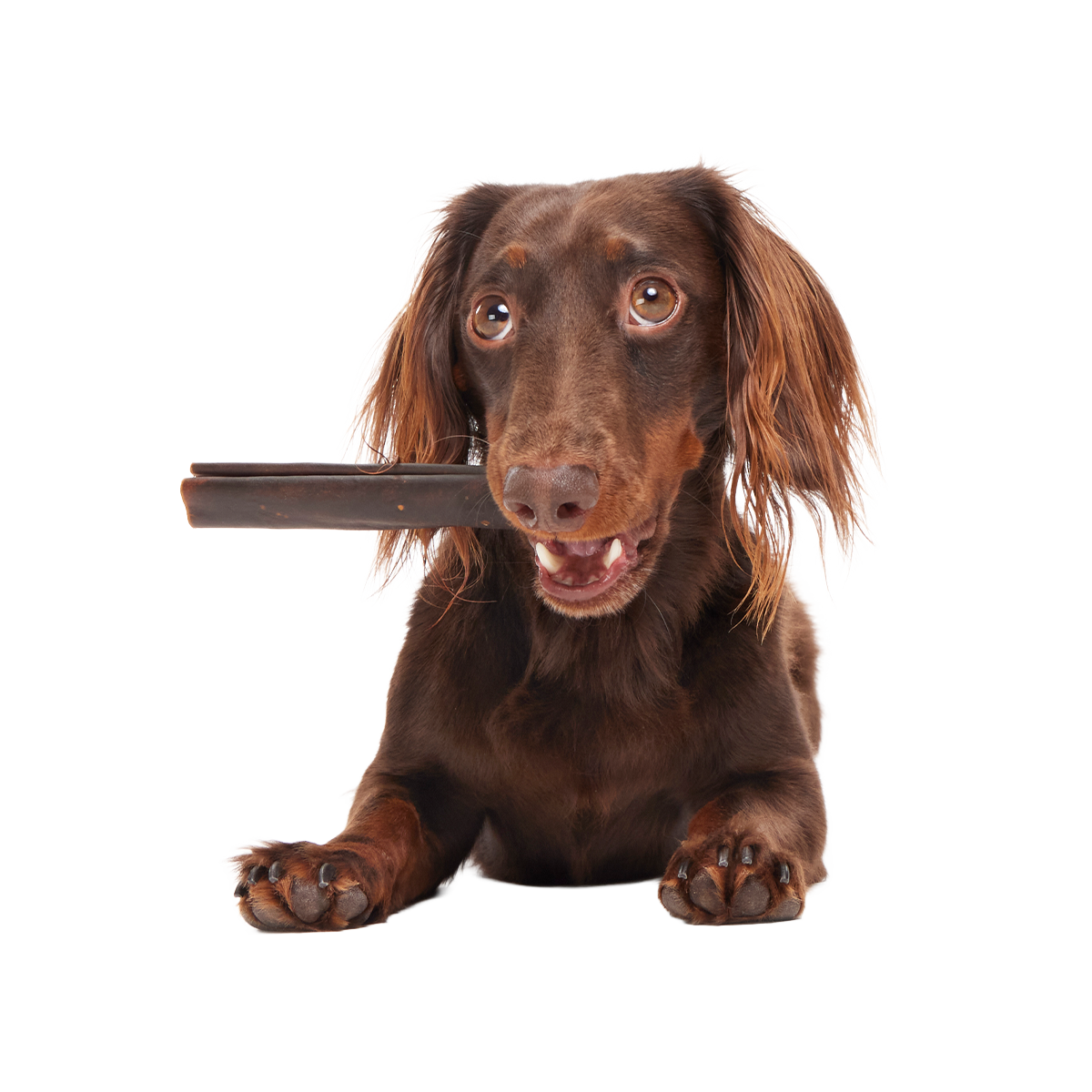 Classic Chewin' Collagen Dog Chew#Size_6 Inch
