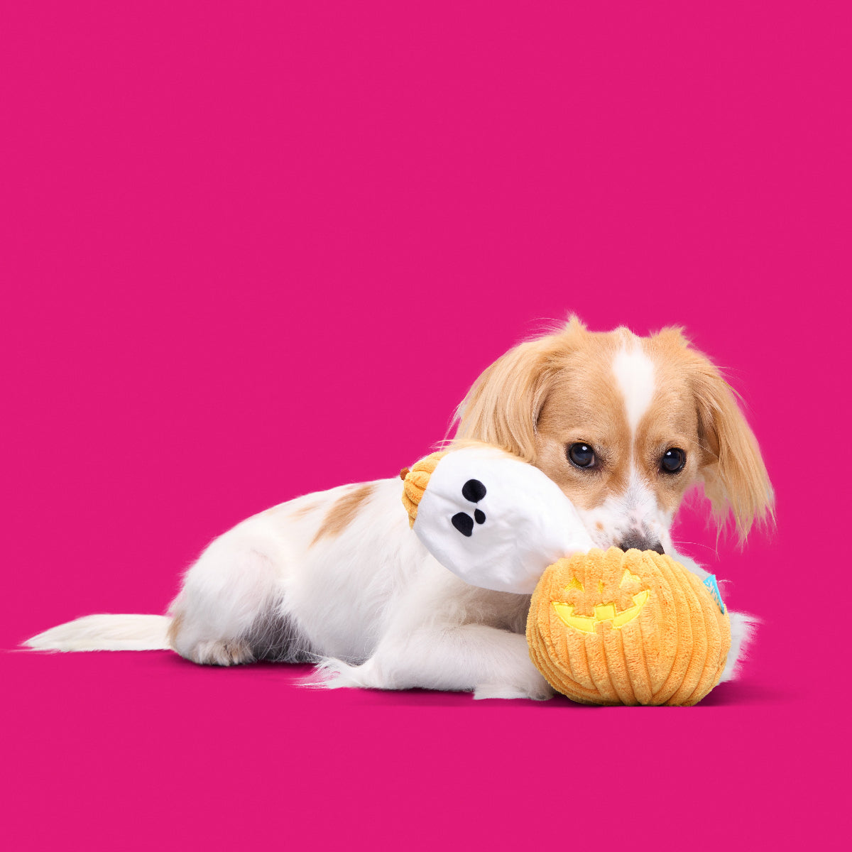 Eek-a-Boo Pumpkin Plush Enrichment Dog Toy