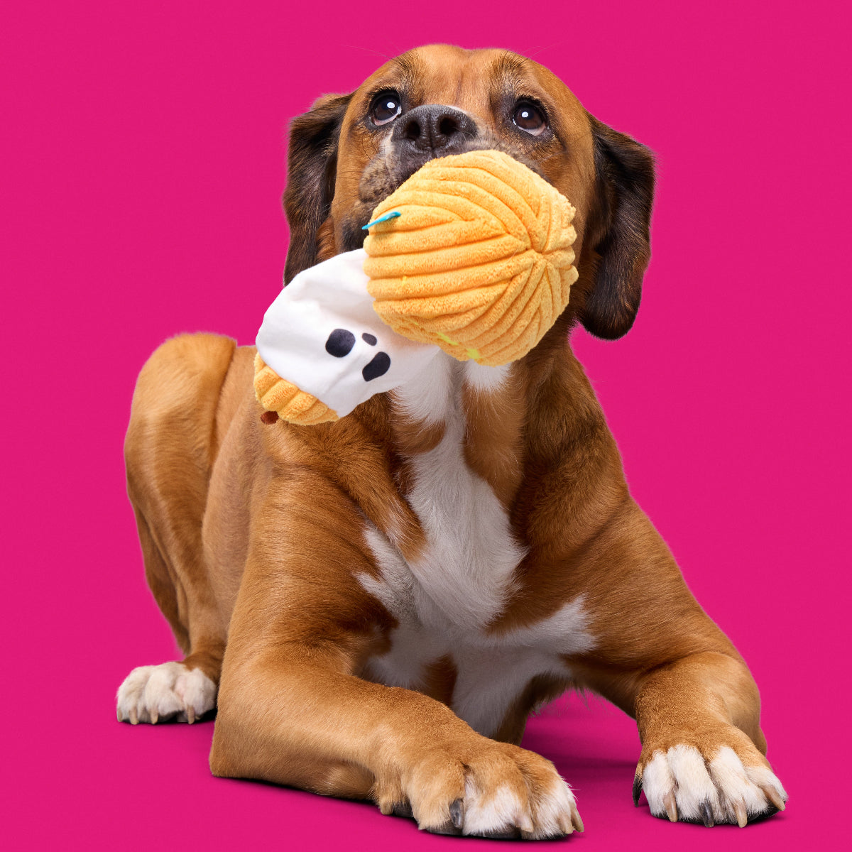 Eek-a-Boo Pumpkin Plush Enrichment Dog Toy
