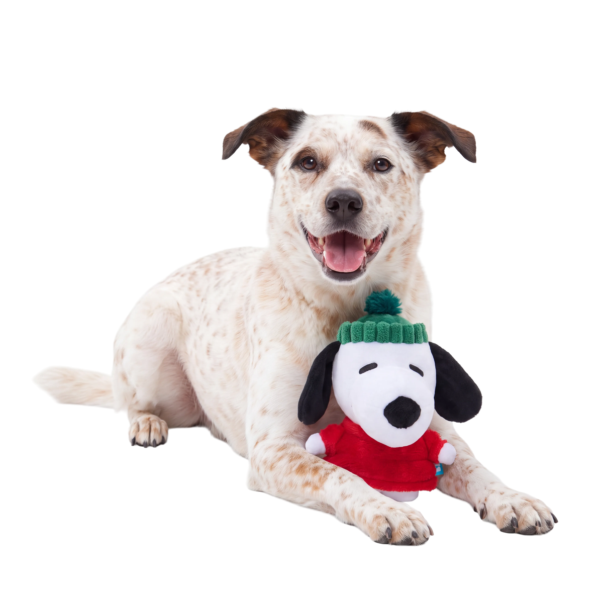 A Warm Puppy Plush Tug Dog Toy