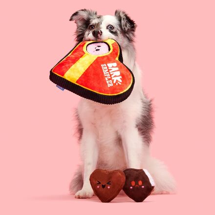 Barks of Chocolates