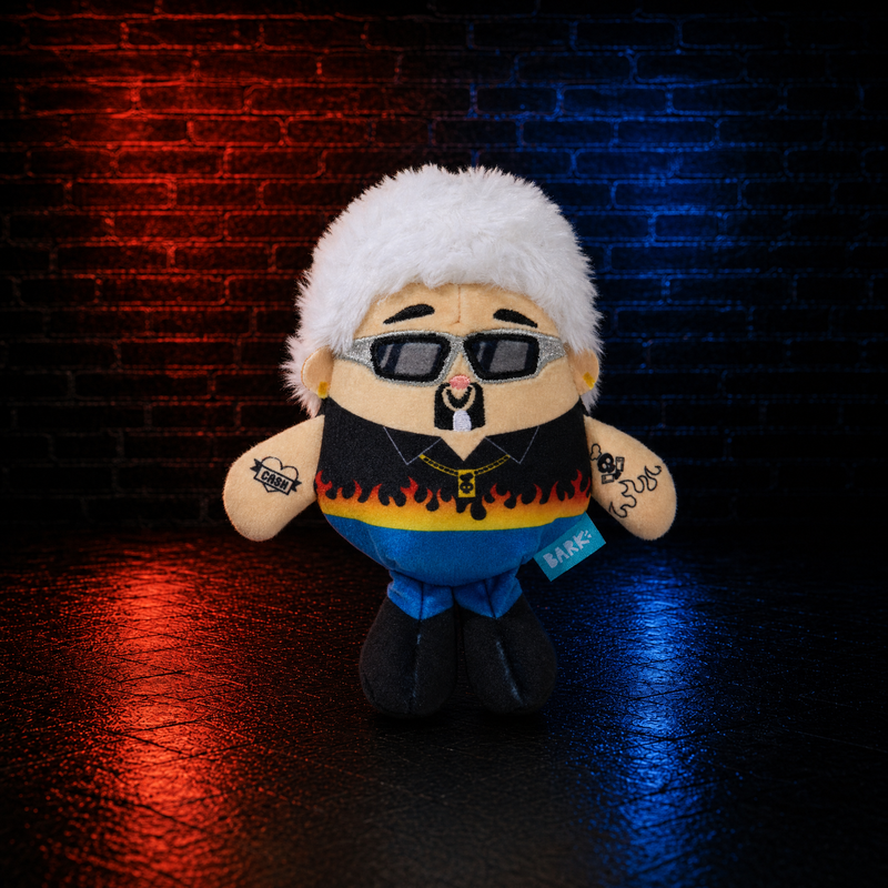 Fetch Fieri