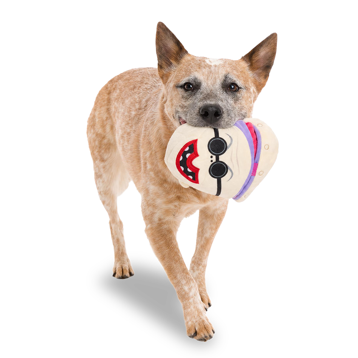 Dogtor Finkelstein Plush Multi-Part + Enrichment Dog Toy