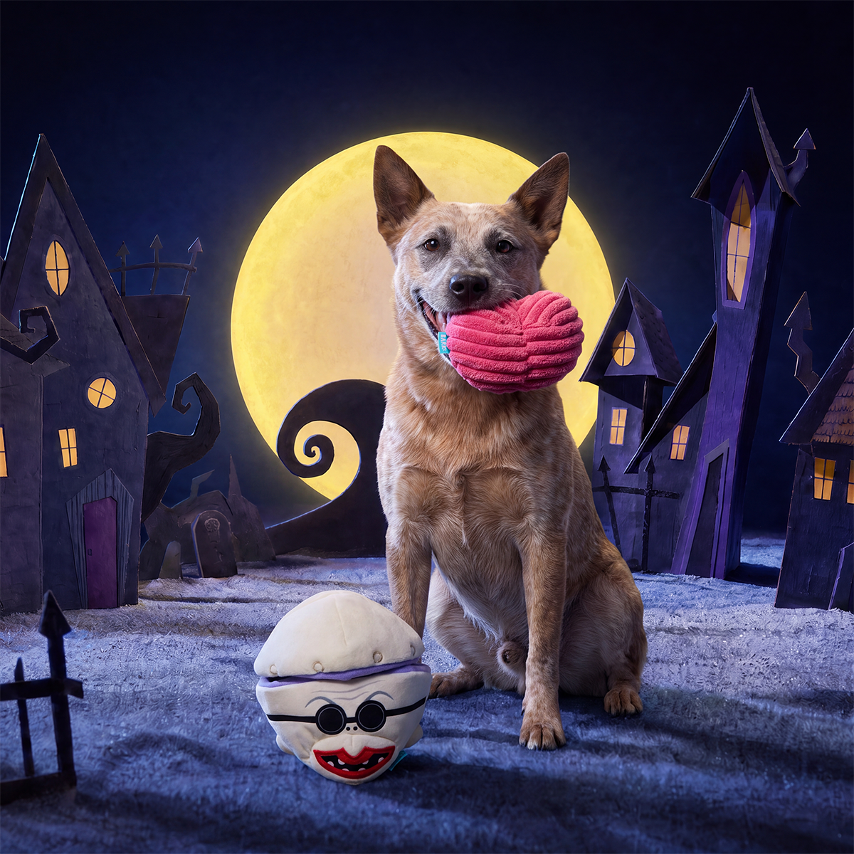 Dogtor Finkelstein Plush Multi-Part + Enrichment Dog Toy