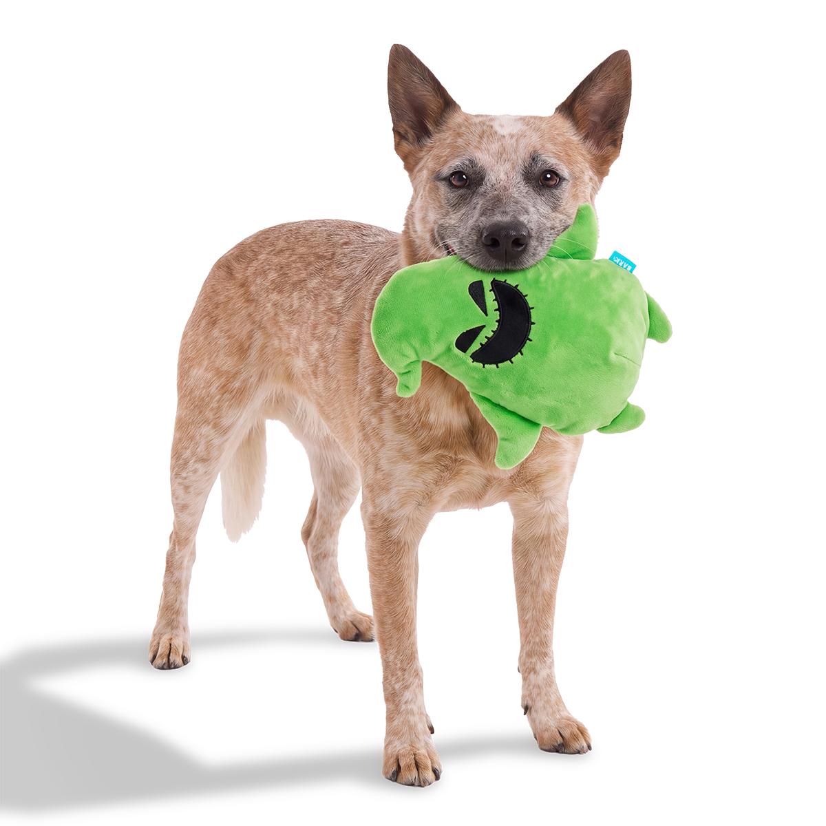 Buggin' Oogie Boogie Plush 2-in-1 Dog Toy