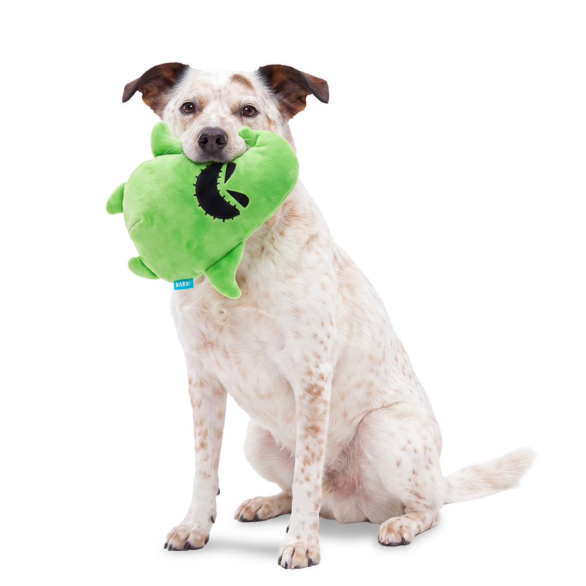Buggin' Oogie Boogie Plush 2-in-1 Dog Toy
