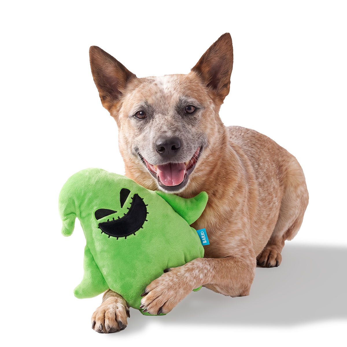 Buggin' Oogie Boogie Plush 2-in-1 Dog Toy