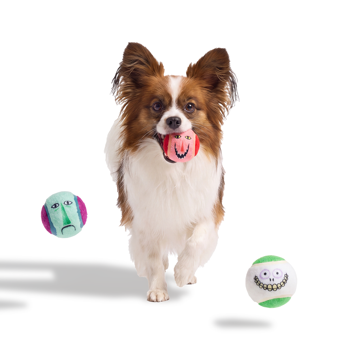 Lock, Shock, and Barrel Bouncers Plush Multi-Part + Fetch Dog Toy