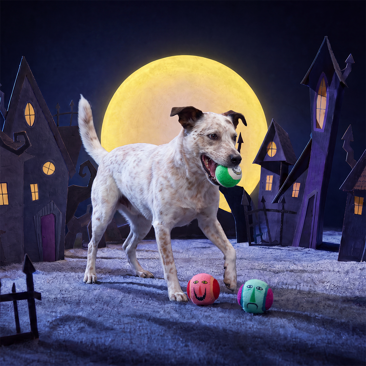 Lock, Shock, and Barrel Bouncers Plush Multi-Part + Fetch Dog Toy