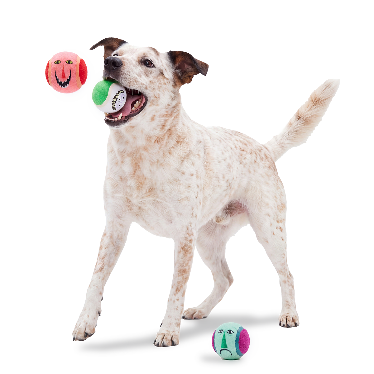 Lock, Shock, and Barrel Bouncers Plush Multi-Part + Fetch Dog Toy