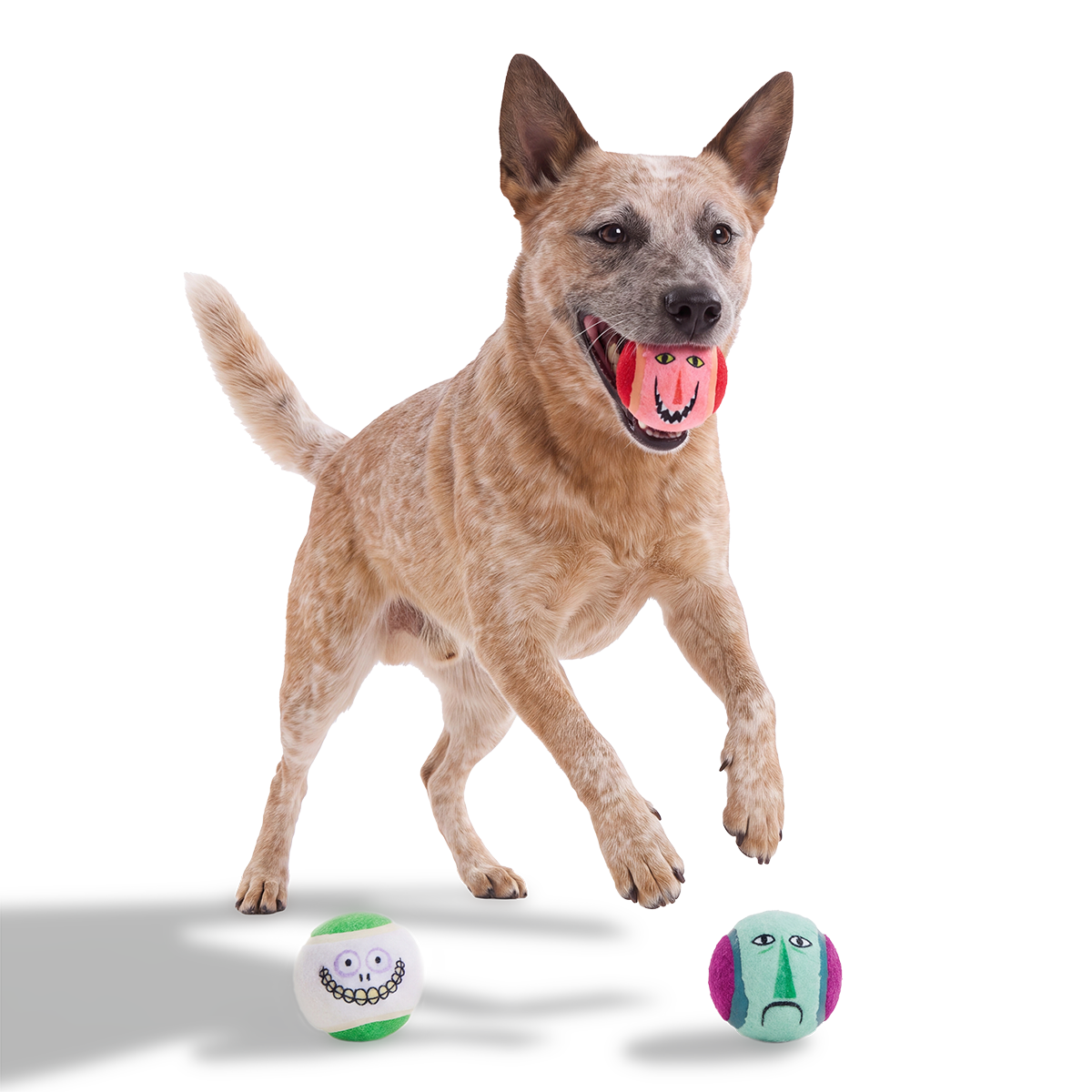 Lock, Shock, and Barrel Bouncers Plush Multi-Part + Fetch Dog Toy