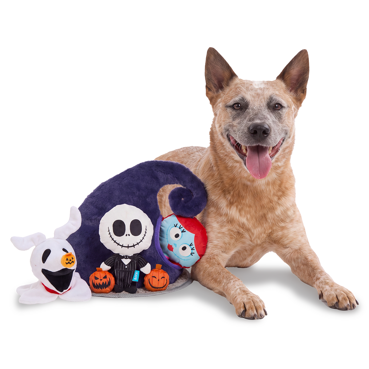Halloween Town Hunt Plush Extra-Large + Multi-Part + Enrichment Dog Toy