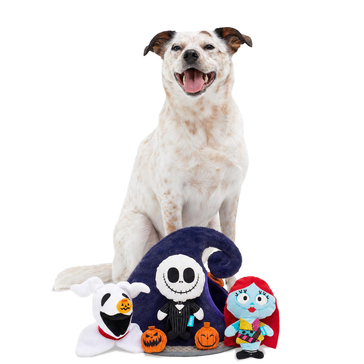 Halloween Town Hunt Plush Extra-Large + Multi-Part + Enrichment Dog Toy