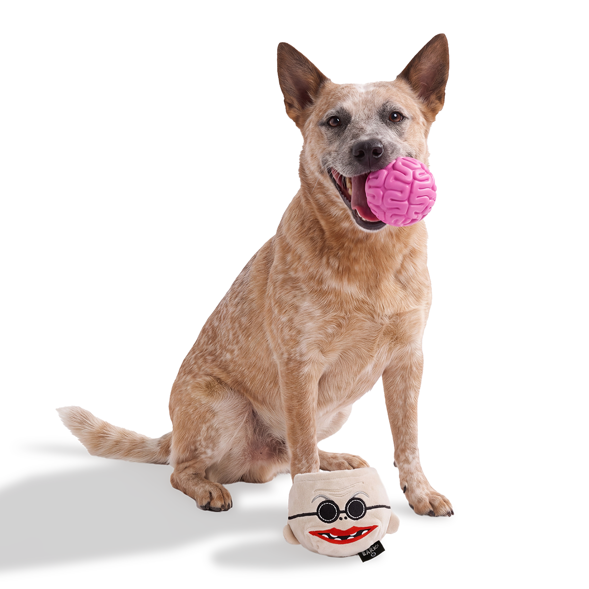 Dr. Finkelsqueak Super Chewer Durable 2-in-1 + Fetch Dog Toy
