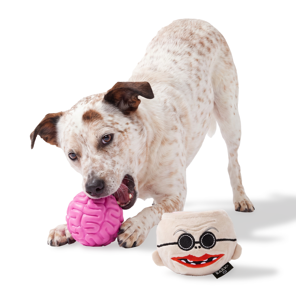 Dr. Finkelsqueak Super Chewer Durable 2-in-1 + Fetch Dog Toy