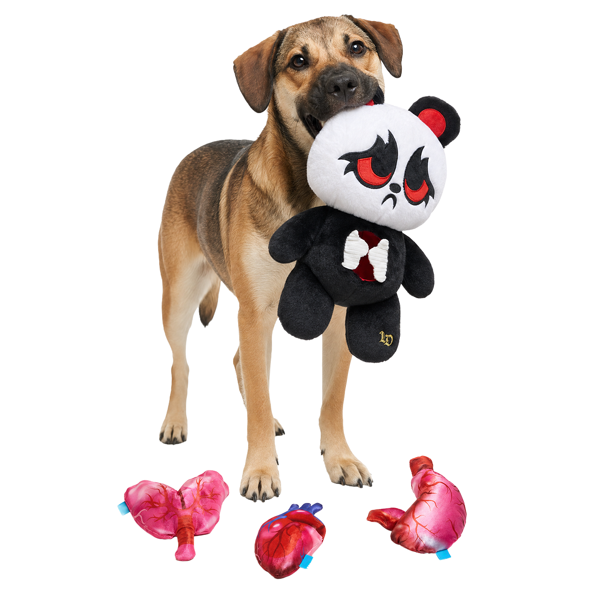 Marcus the Carcus Plush Extra-Large + Multi-Part + Enrichment Dog Toy