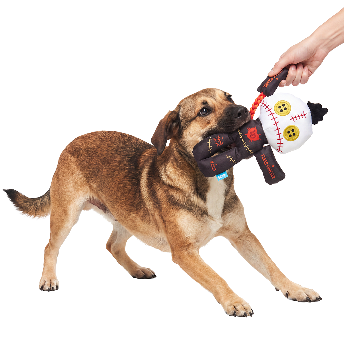 Chewdoo Doll Plush Extra-Large + Tug Dog Toy