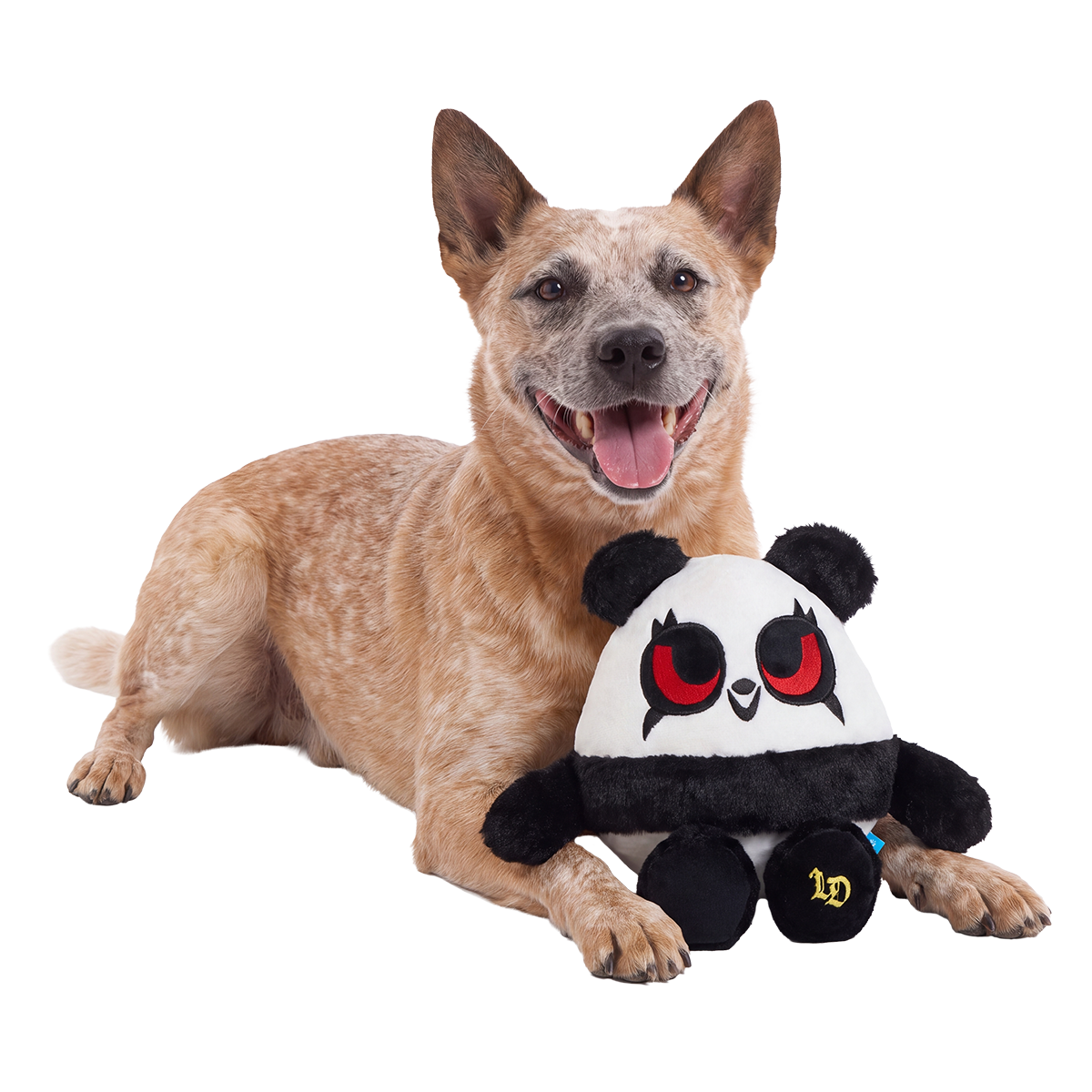 Thrash Panda Plush 2-in-1 + Tug Dog Toy