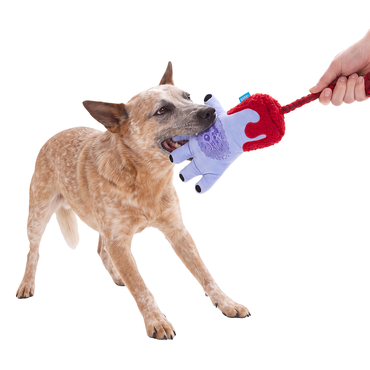 Hand That Feeds Plush Tug Dog Toy