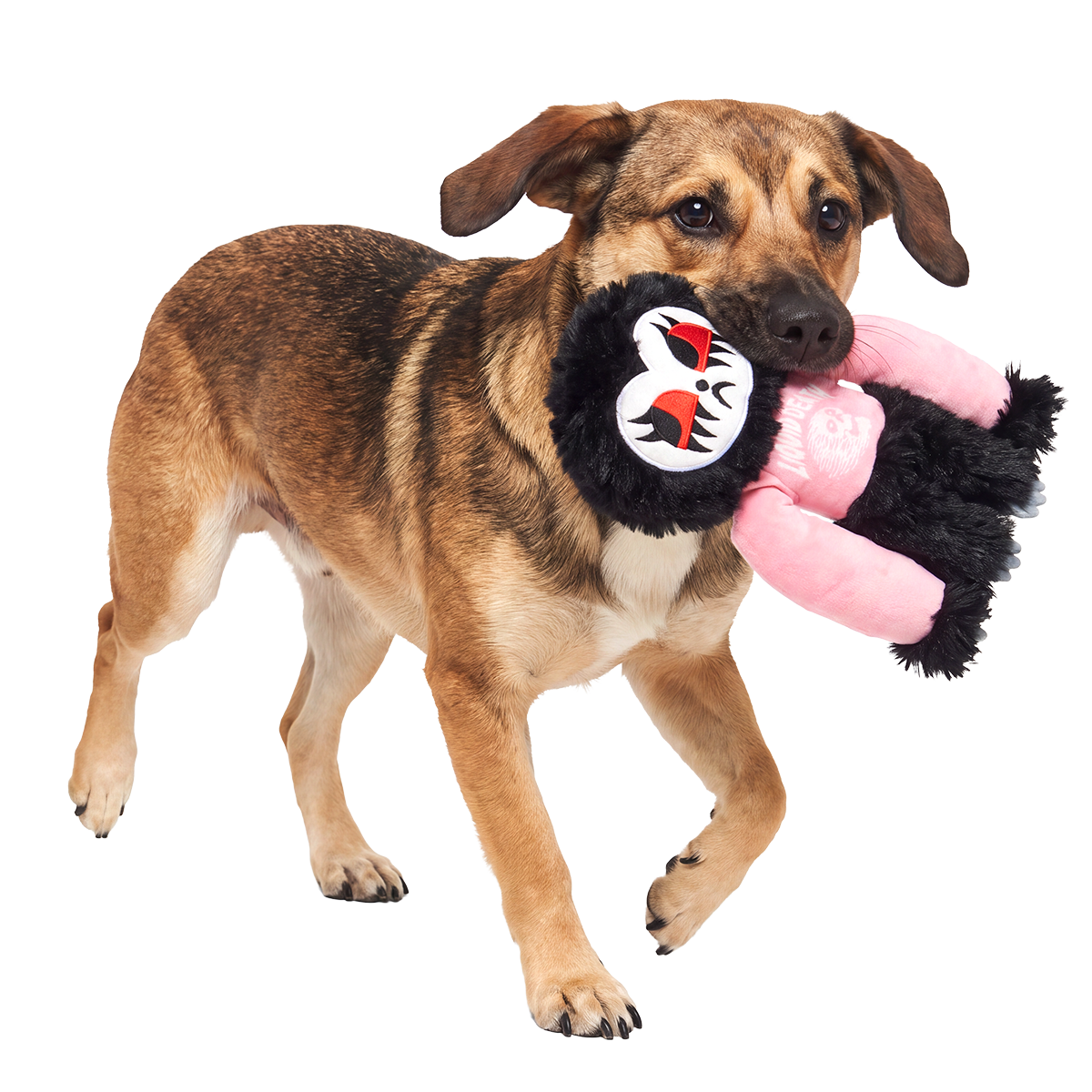 Goth Sloth Plush Tug Dog Toy