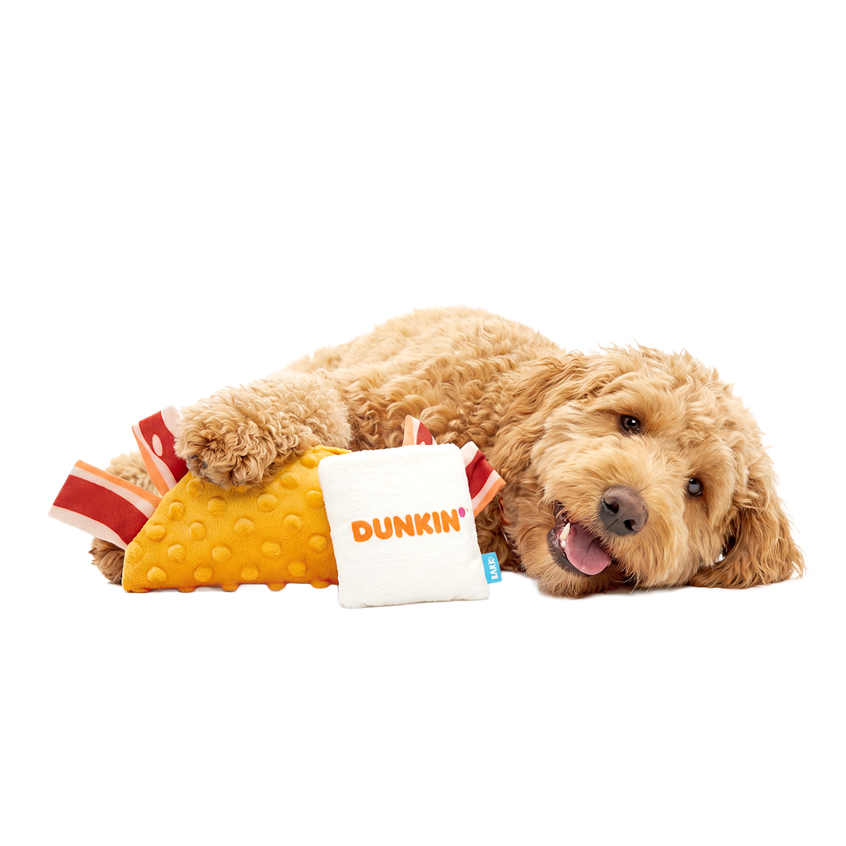 Dunkin'® Wake-Up Wrap Plush Multi-Part Dog Toy
