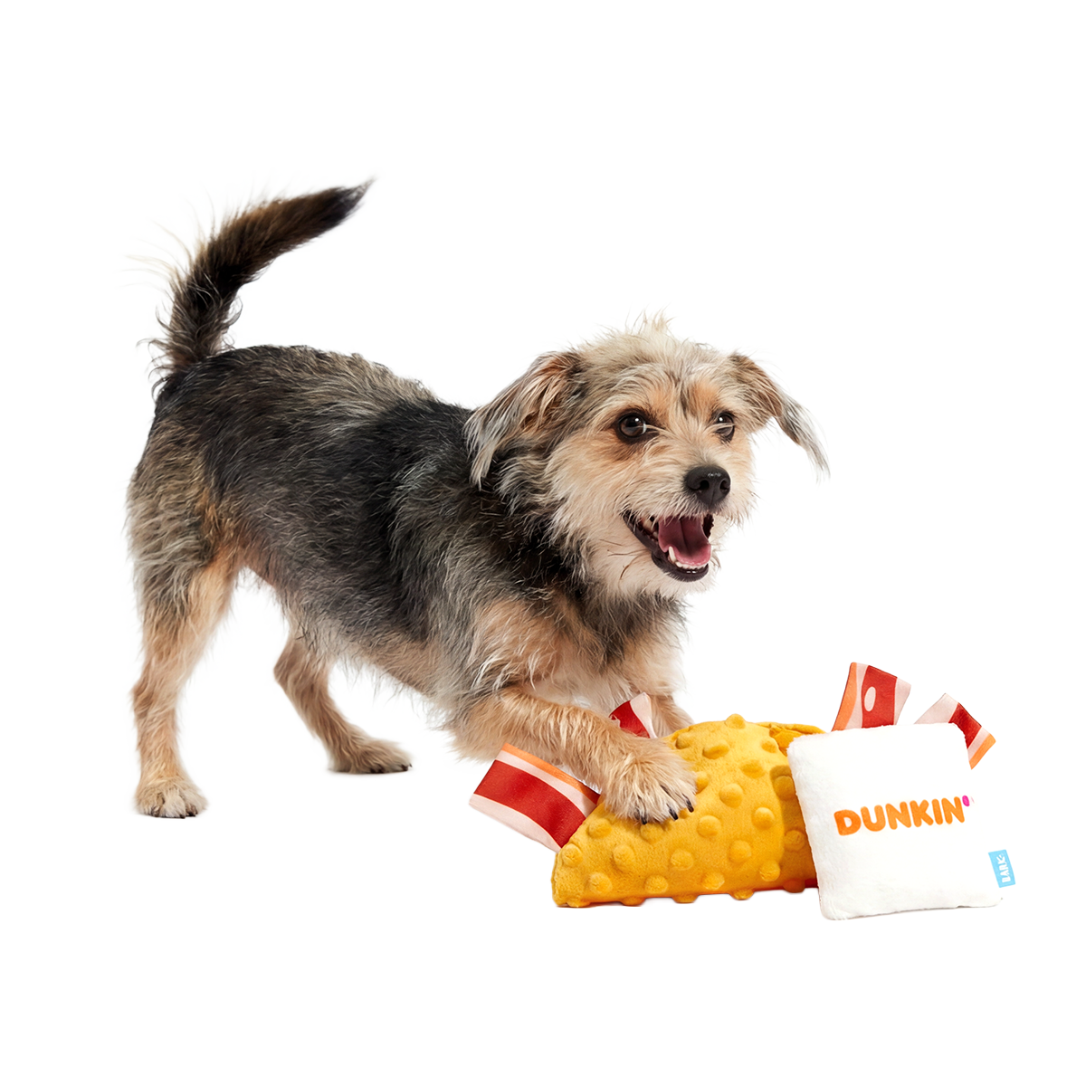 Dunkin'® Wake-Up Wrap Plush Multi-Part Dog Toy