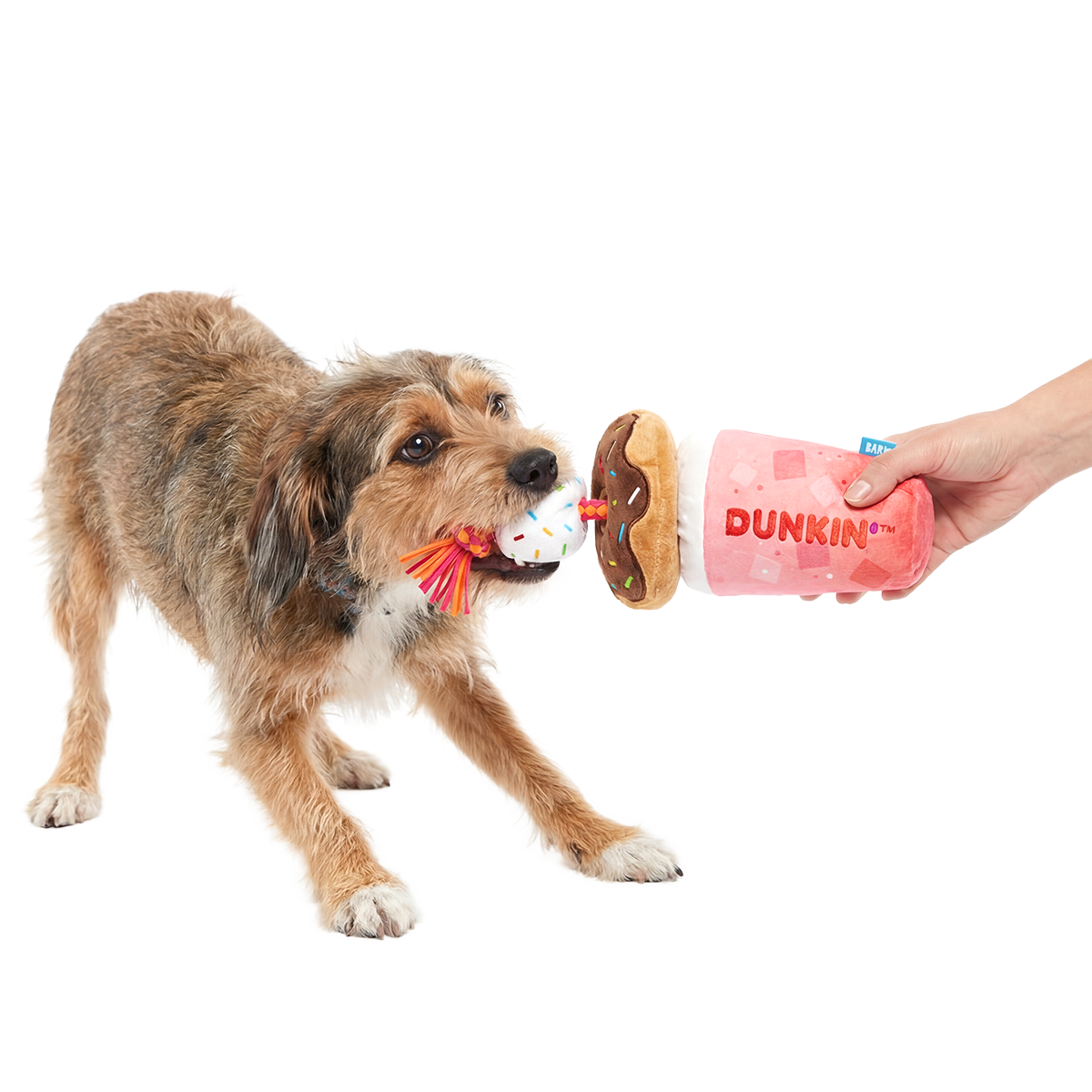 Dunkin'® Strawberry Dragonfruit Refresher & Donuts Plush Tug Dog Toy