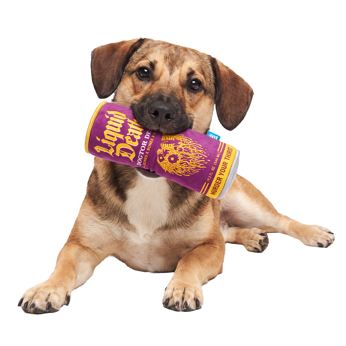 Dogtor Death Can Plush Tug Dog Toy