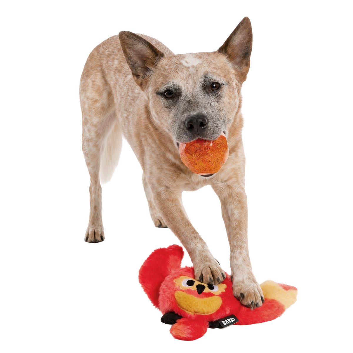 Fiery Fawkes™ Super Chewer Durable 2-in-1 + Fetch + Tug Dog Toy