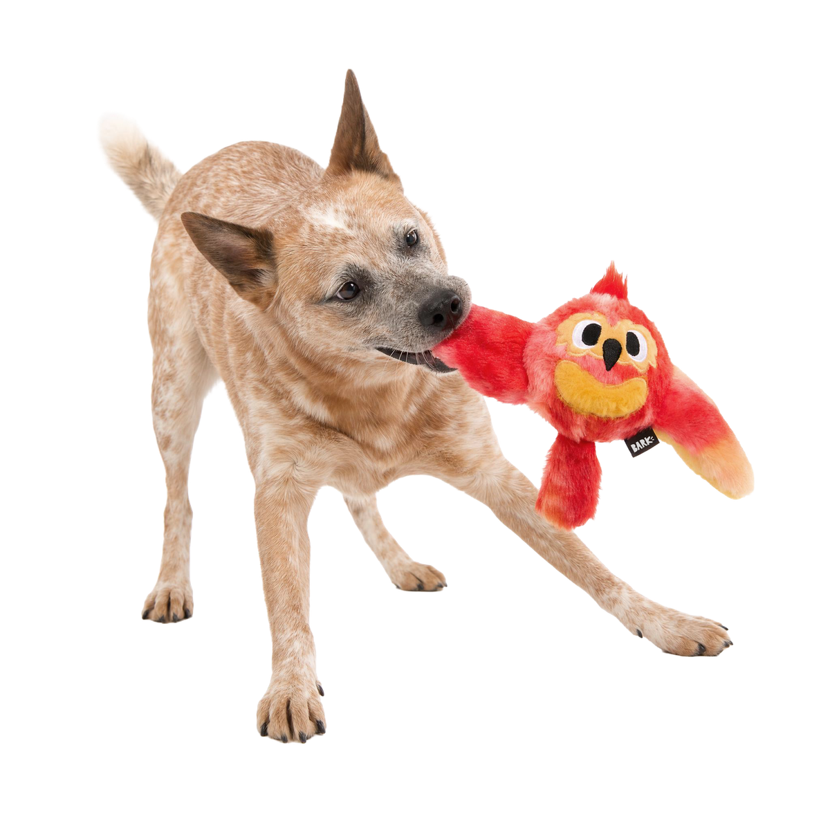 Fiery Fawkes™ Super Chewer Durable 2-in-1 + Fetch + Tug Dog Toy
