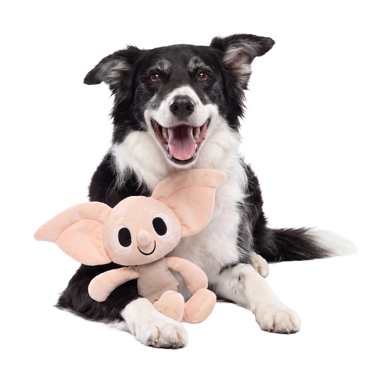 Dobby™ Plush Extra-Large + Tug Dog Toy
