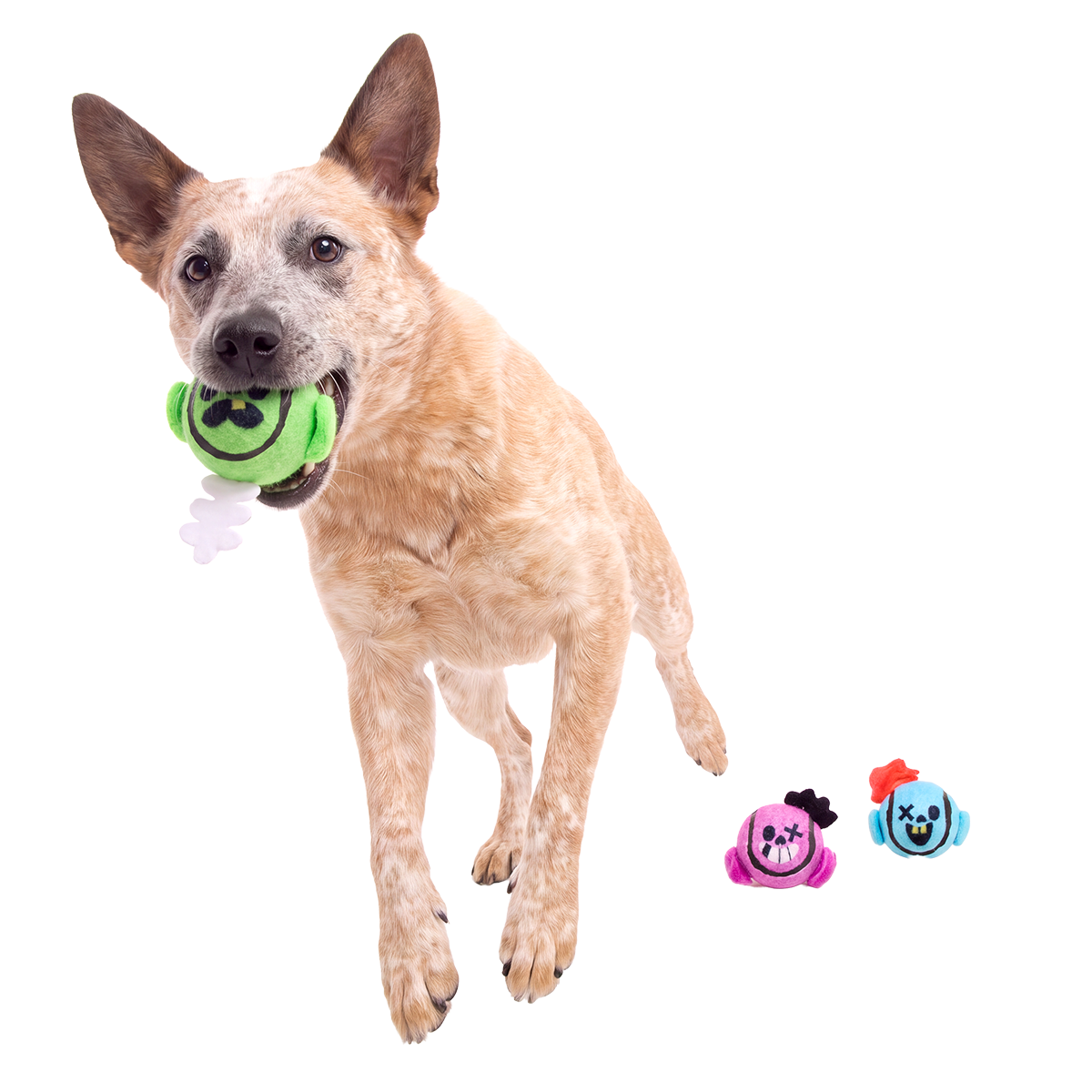 Tennis Ball Club, 3 Squeaky Monthly Tennis Ball Dog Toys