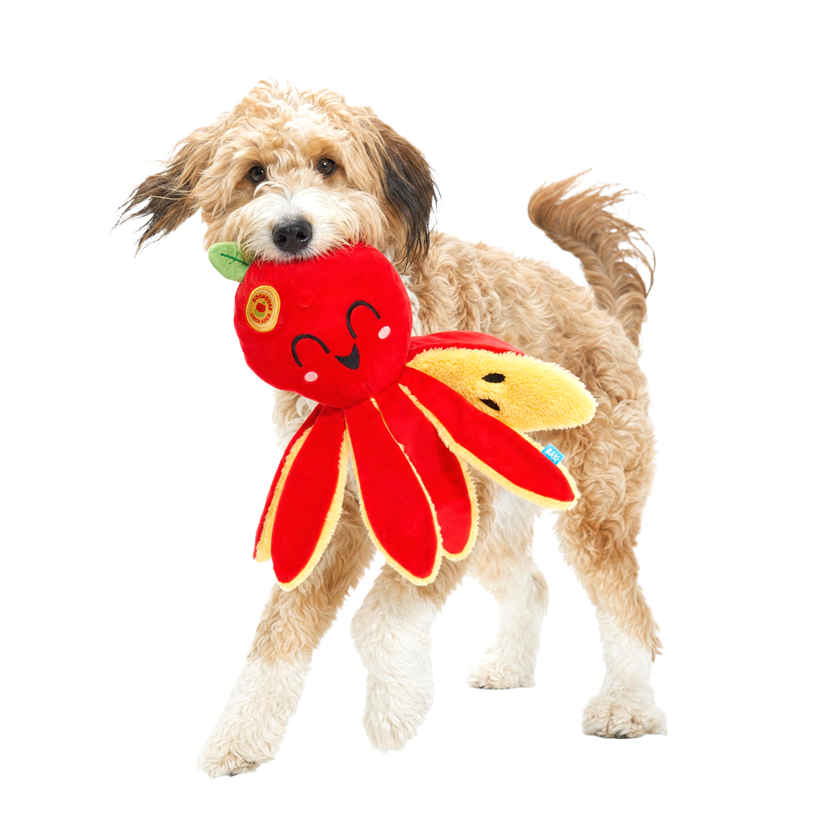 Ollie the Octopus Club, Plush Tug Monthly Dog Toys