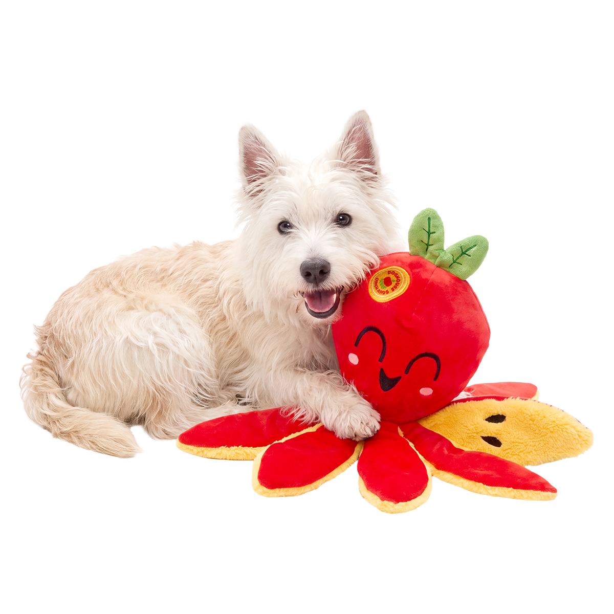 Ollie the Octopus Club, Plush Tug Monthly Dog Toys