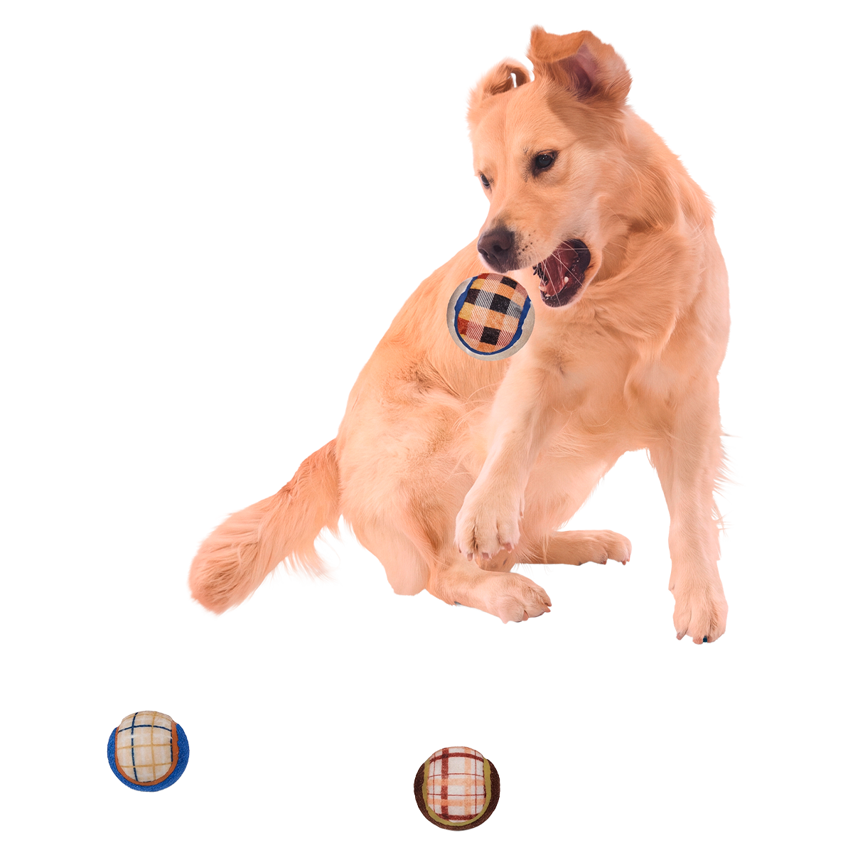 Tennis Ball Club, 3 Squeaky Monthly Tennis Ball Dog Toys