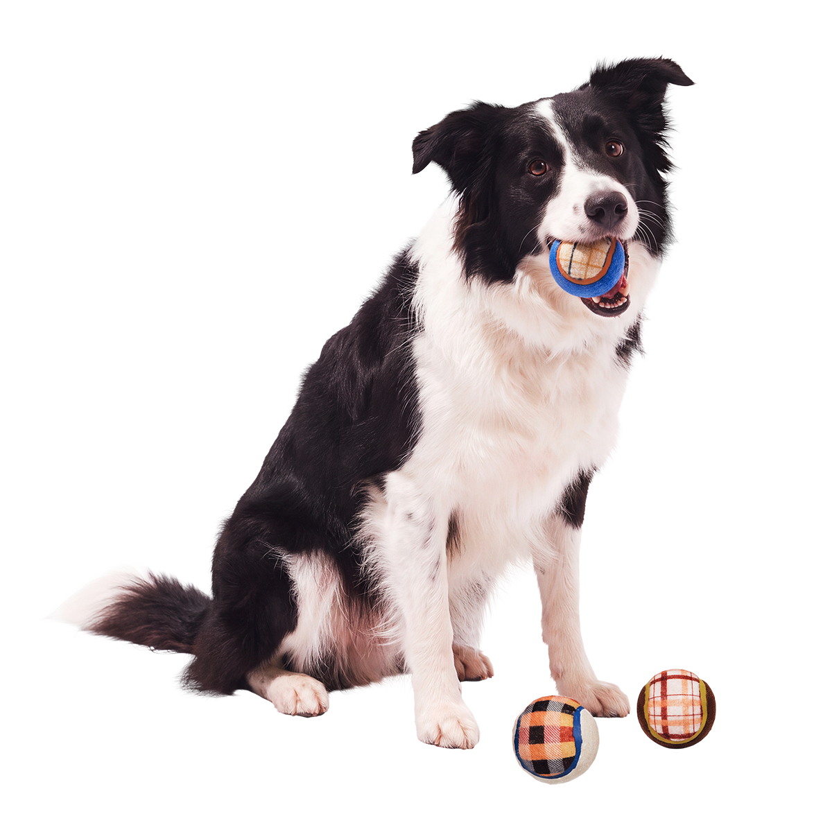 Tennis Ball Club, 3 Squeaky Monthly Tennis Ball Dog Toys
