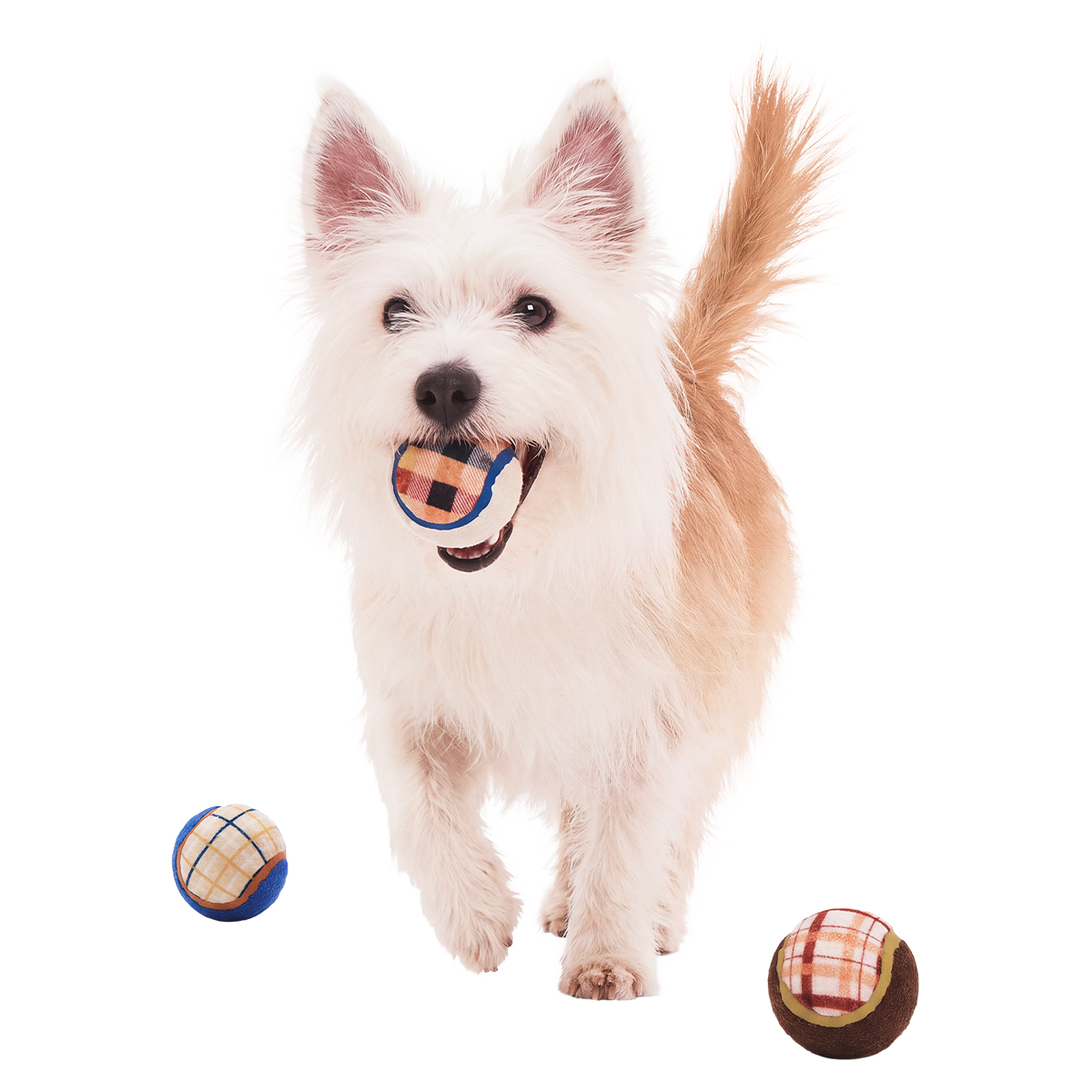 Tennis Ball Club, 3 Squeaky Monthly Tennis Ball Dog Toys