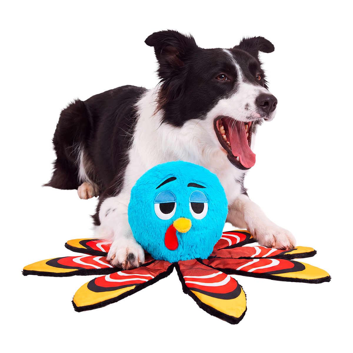 Ollie the Octopus Club, Plush Tug Monthly Dog Toys