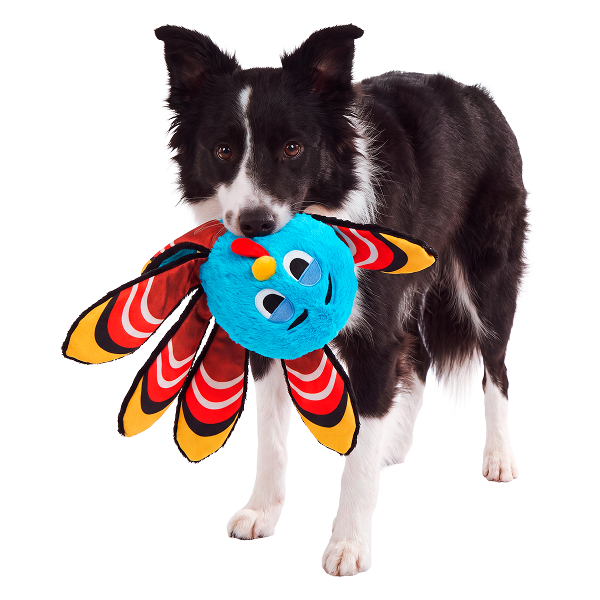 Ollie the Octopus Club, Plush Tug Monthly Dog Toys