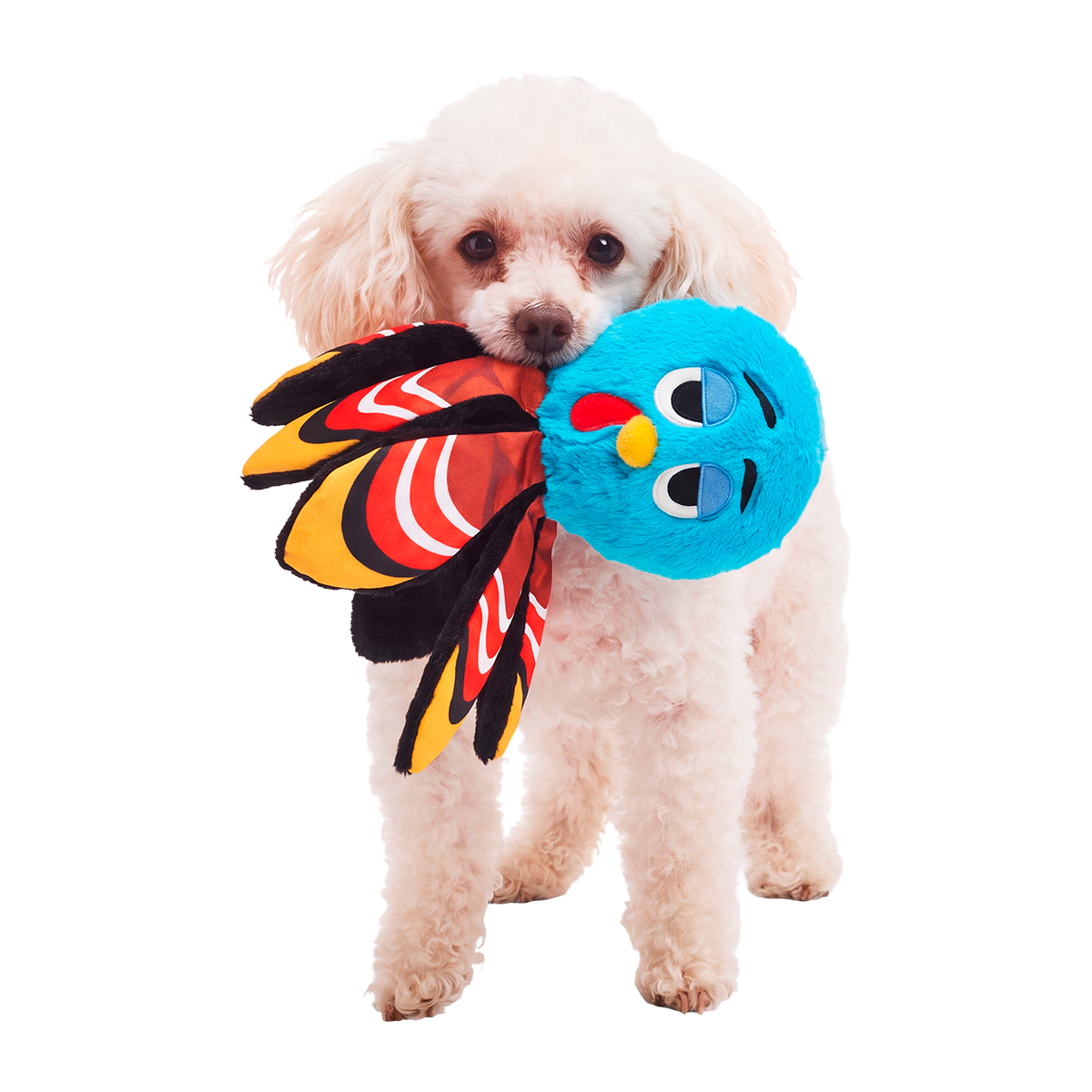 Ollie the Octopus Club, Plush Tug Monthly Dog Toys